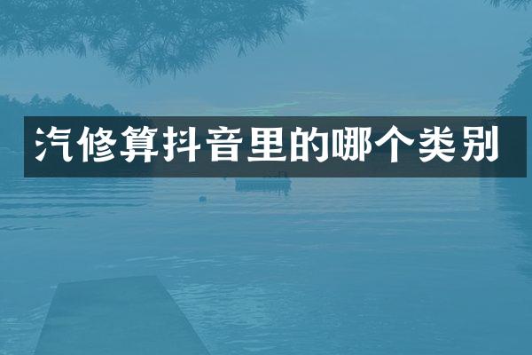 汽修算抖音里的哪个类别