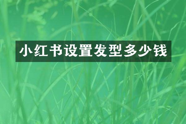 小红书设置发型多少钱
