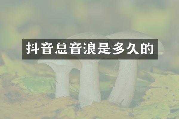 抖音总音浪是多久的