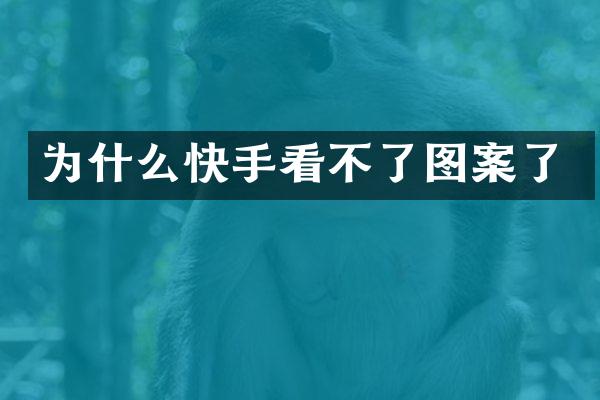 为什么快手看不了图案了