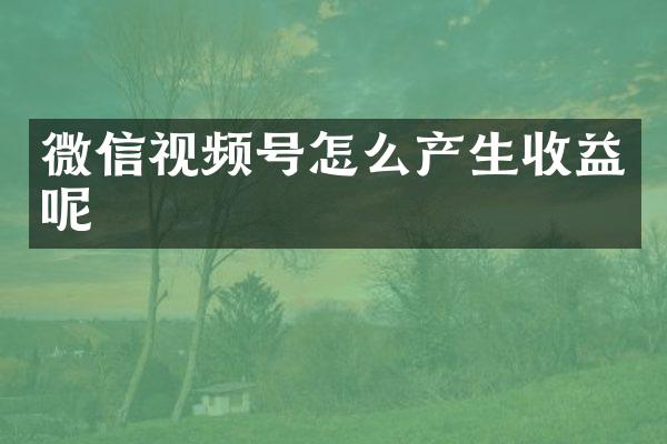 微信视频号怎么产生收益呢