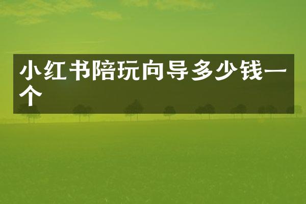 小红书陪玩向导多少钱一个