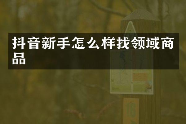 抖音新手怎么样找领域商品