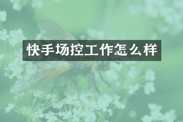 快手场控工作怎么样