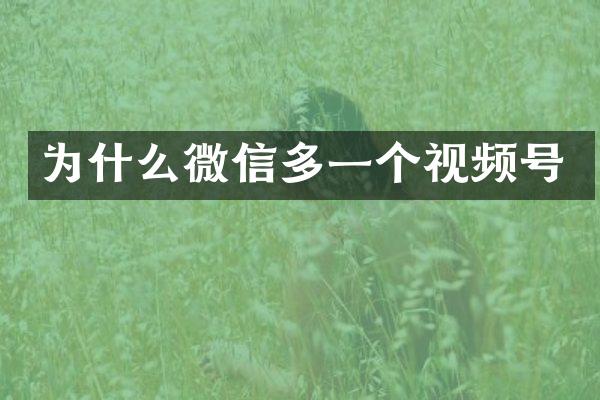 为什么微信多一个视频号