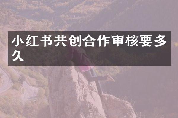 小红书共创合作审核要多久