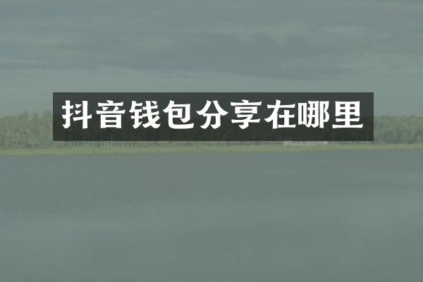 抖音钱包分享在哪里