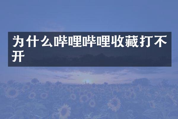 为什么哔哩哔哩收藏打不开
