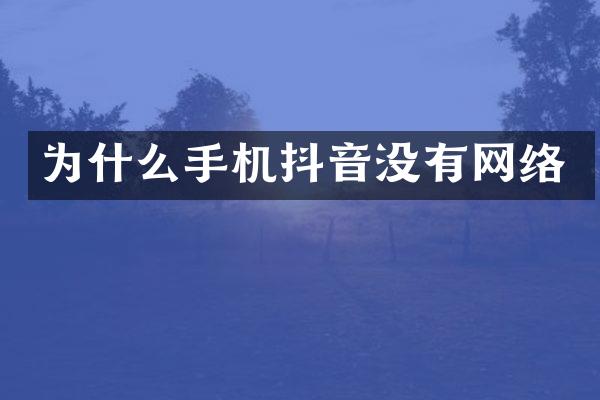 为什么手机抖音没有网络