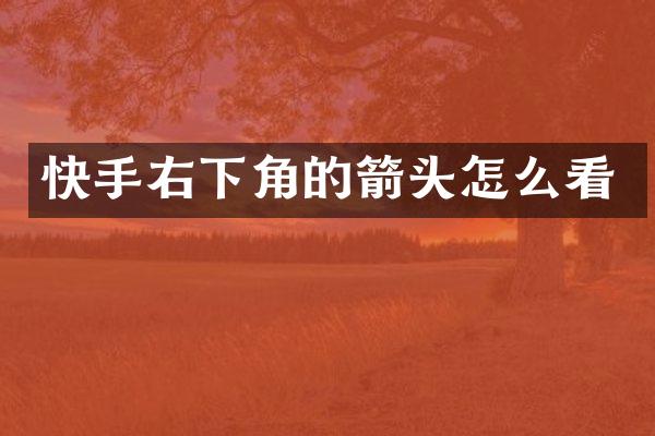 快手右下角的箭头怎么看