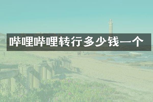 哔哩哔哩转行多少钱一个