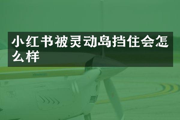 小红书被灵动岛挡住会怎么样