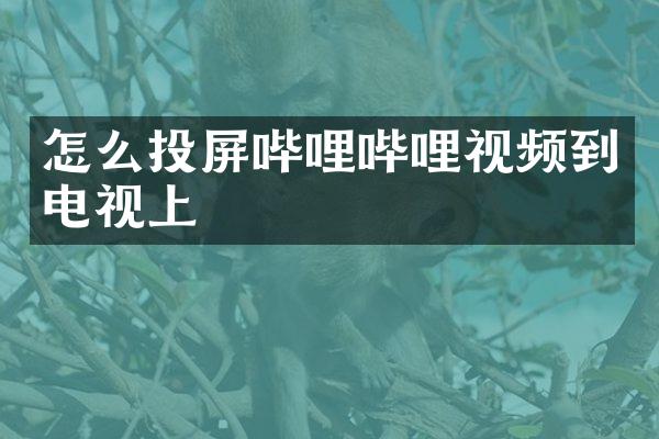 怎么投屏哔哩哔哩视频到电视上
