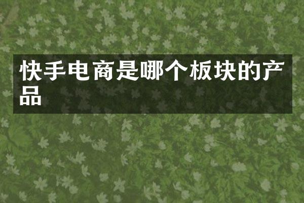 快手电商是哪个板块的产品