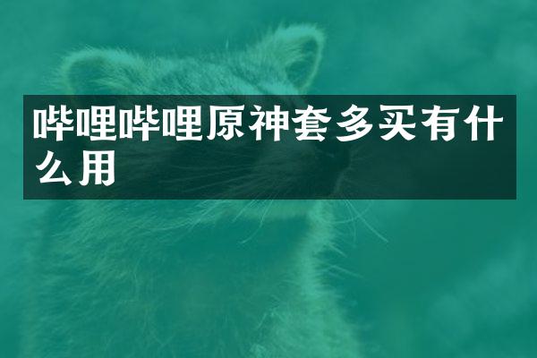 哔哩哔哩原神套多买有什么用