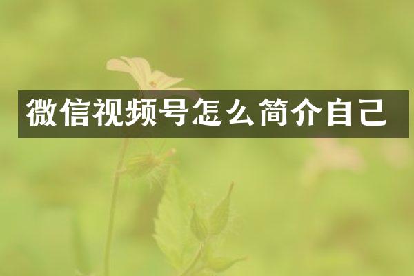 微信视频号怎么简介自己