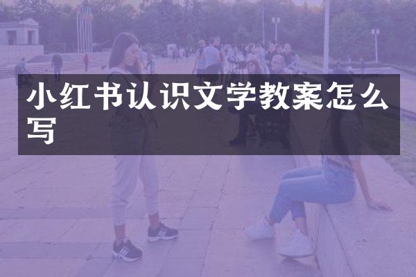 小红书认识文学教案怎么写