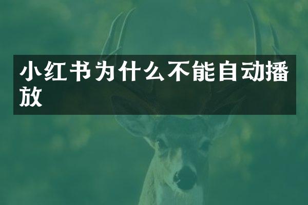 小红书为什么不能自动播放