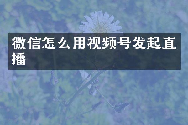 微信怎么用视频号发起直播