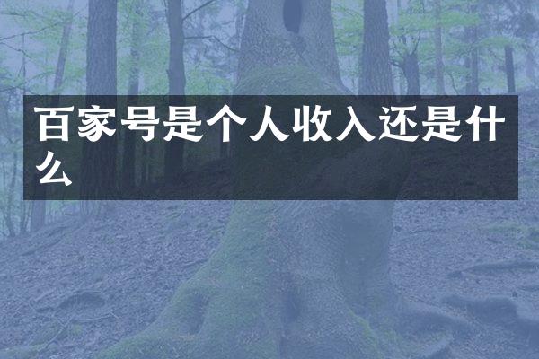 百家号是个人收入还是什么