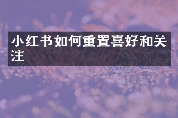 小红书如何重置喜好和关注