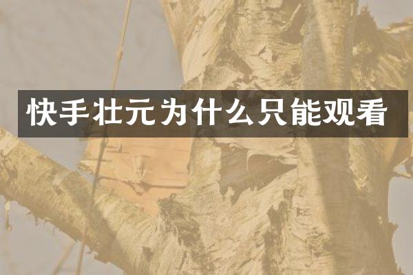 快手壮元为什么只能观看