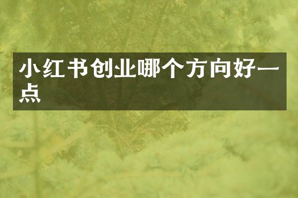 小红书创业哪个方向好一点