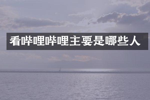 看哔哩哔哩主要是哪些人
