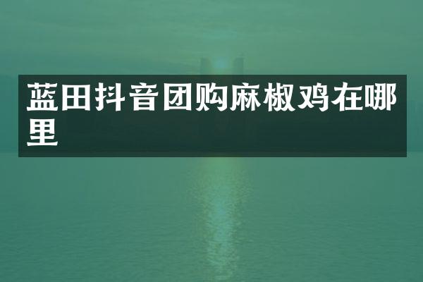 蓝田抖音团购麻椒鸡在哪里