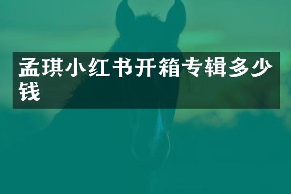 孟琪小红书开箱专辑多少钱