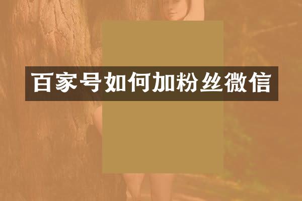 百家号如何加粉丝微信