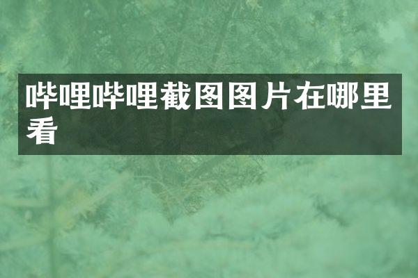 哔哩哔哩截图图片在哪里看