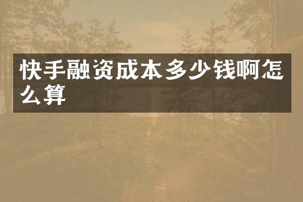 快手融资成本多少钱啊怎么算