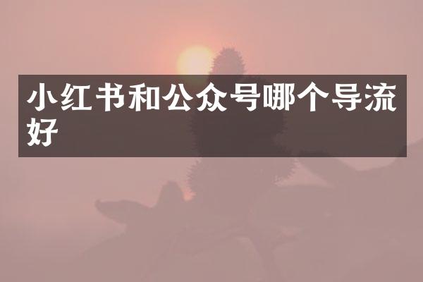 小红书和公众号哪个导流好