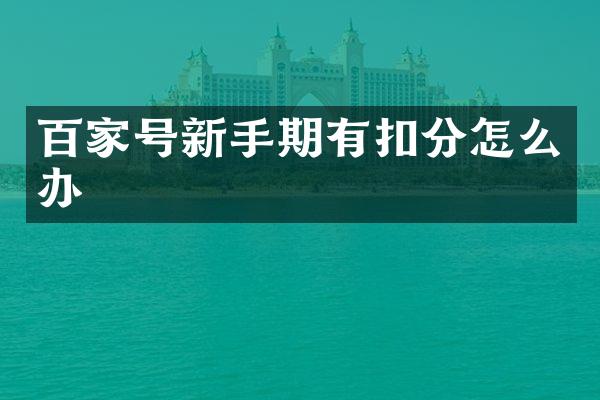 百家号新手期有扣分怎么办