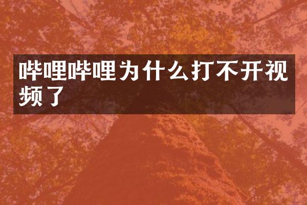 哔哩哔哩为什么打不开视频了