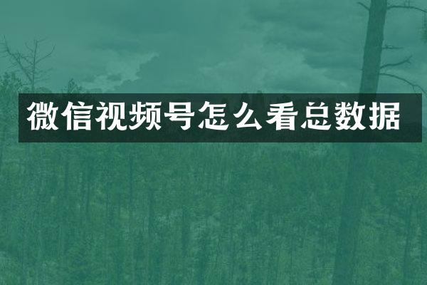微信视频号怎么看总数据