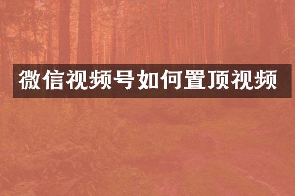 微信视频号如何置顶视频