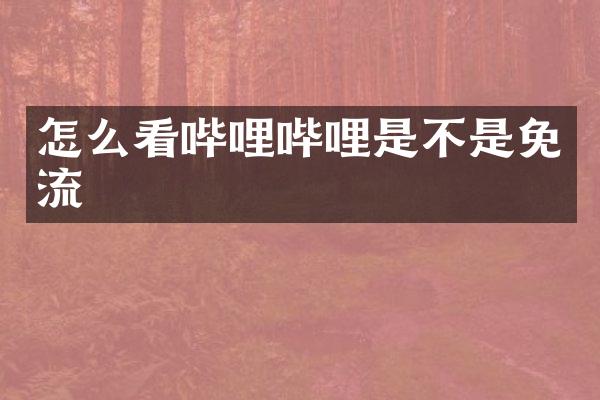 怎么看哔哩哔哩是不是免流