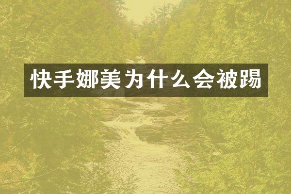 快手娜美为什么会被踢