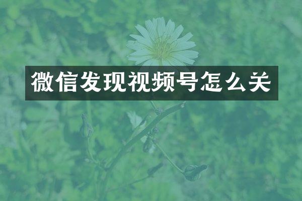 微信发现视频号怎么关