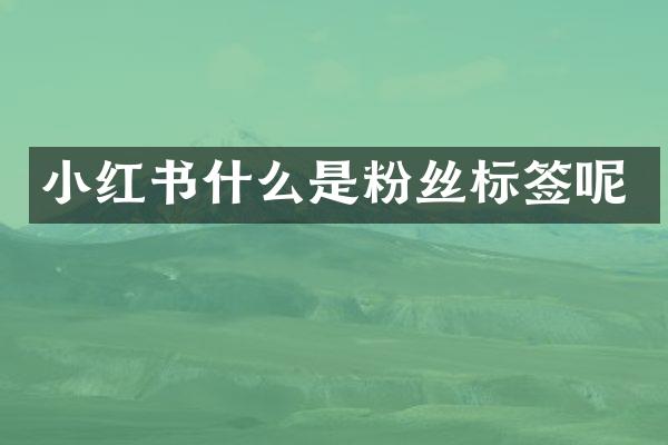 小红书什么是粉丝标签呢