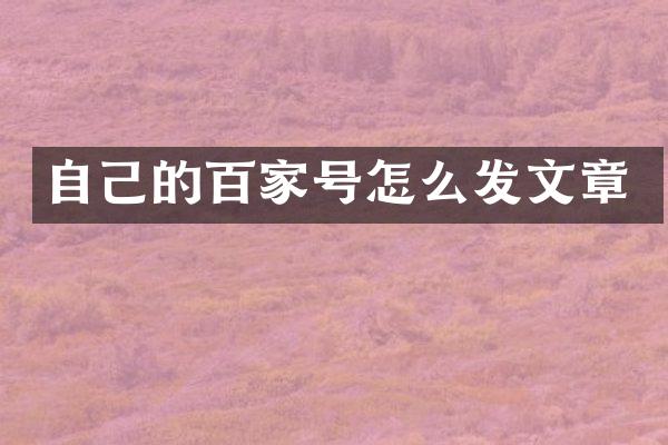 自己的百家号怎么发文章