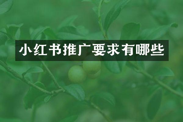 小红书推广要求有哪些