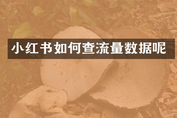小红书如何查流量数据呢