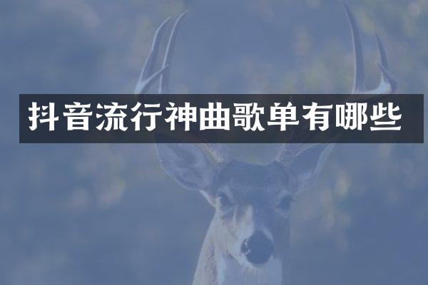 抖音流行神曲歌单有哪些