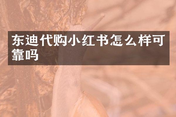 东迪代购小红书怎么样可靠吗
