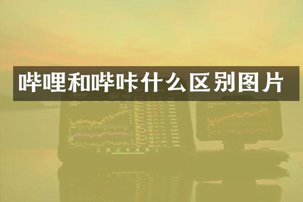 哔哩和哔咔什么区别图片