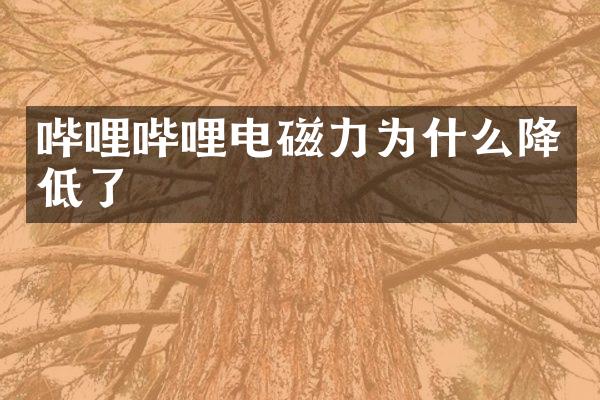 哔哩哔哩电磁力为什么降低了