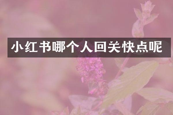 小红书哪个人回关快点呢